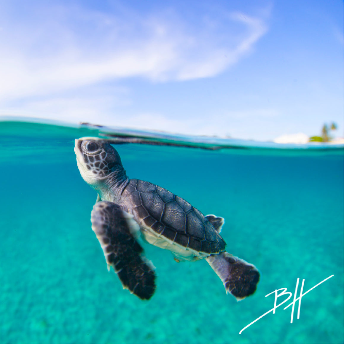 Ben Hicks Photography