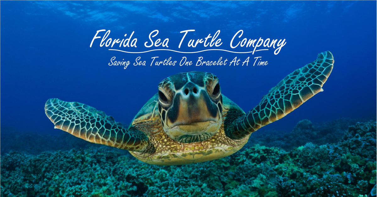 Florida Sea Turtle Company - Saving Sea Turtles One Bracelet At A Time