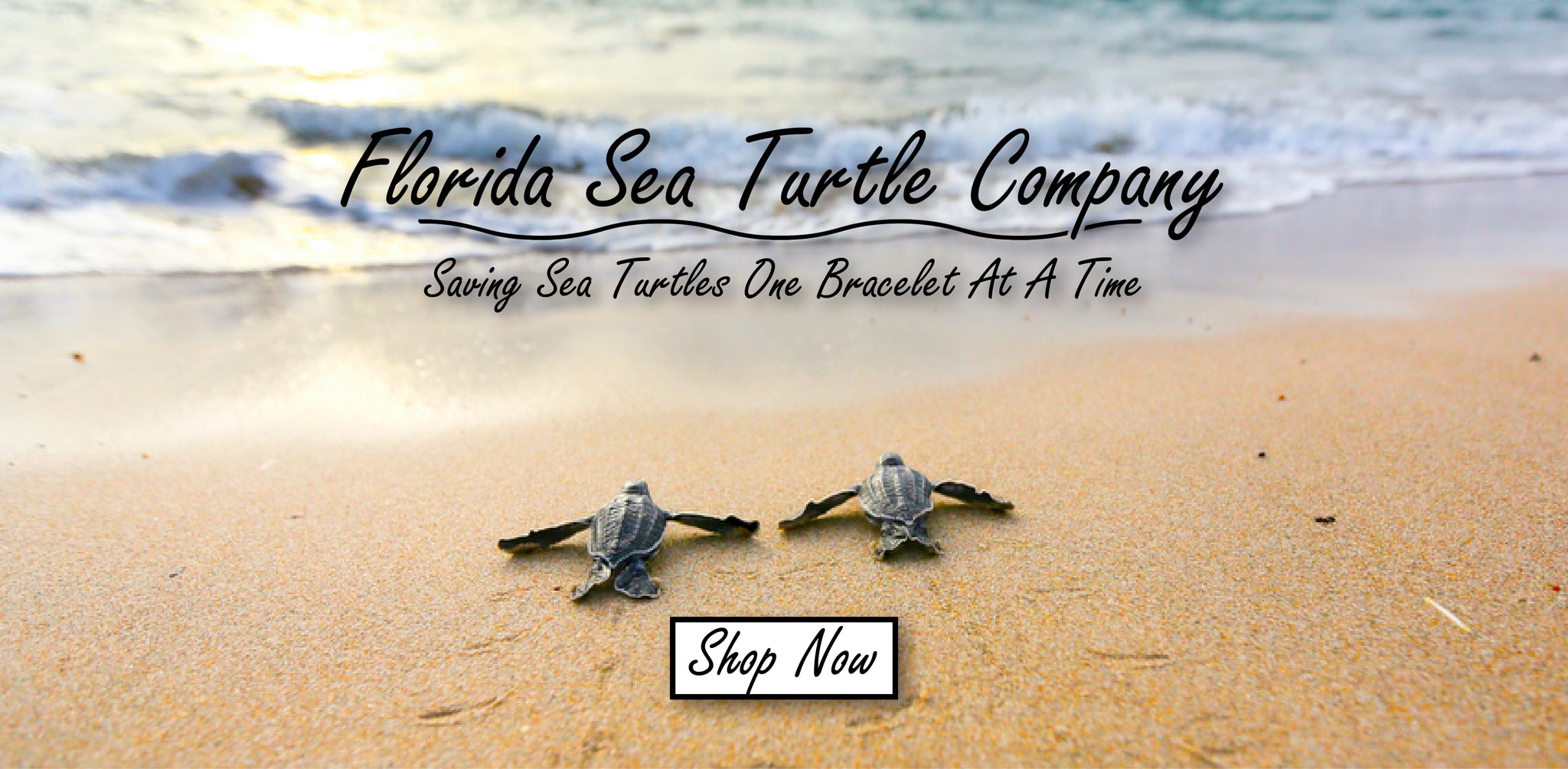 Pura Vida Charity Bracelet  Save the Sea Turtles  Dandelion Jewelry
